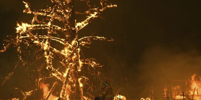 Φωτιές στην Αυστραλία: Καγκουρό βούτηξε σε πισίνα για να σωθεί