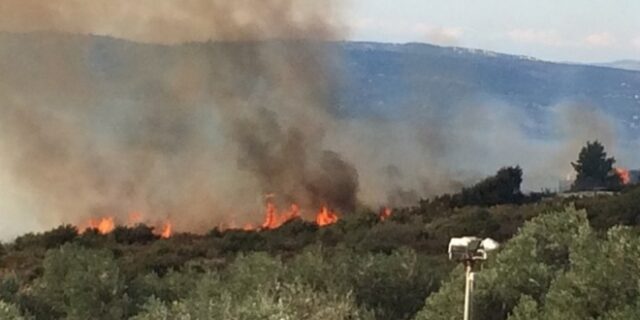 Νέα φωτιά στην Κεφαλονιά κοντά στον οικισμό Σαρλάτα