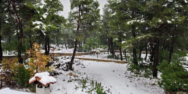 Κακοκαιρία “Ζηνοβία”: Στα λευκά “ντύθηκε” η χώρα – Χιόνια και στην Αττική
