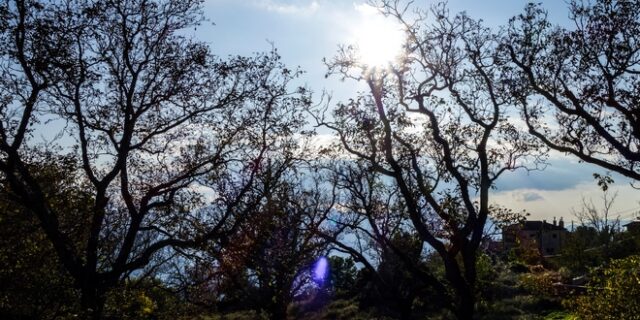 Καλύτερος ο καιρός – Κανονικές θερμοκρασίες για την εποχή