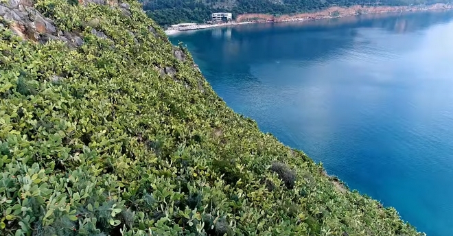 Το “Φαρ Ουέστ” της Ελλάδας: Αμέτρητοι κάκτοι δίπλα στο Ναύπλιο