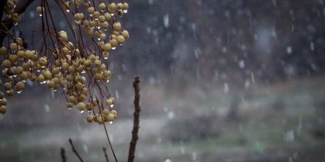 Καιρός: Πρώτα χιόνια και στους -4 το θερμόμετρο στη Βόρεια Ελλάδα