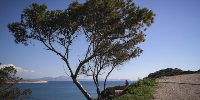 Καιρός: Ανεβαίνει η θερμοκρασία, παγετός στα ηπειρωτικά