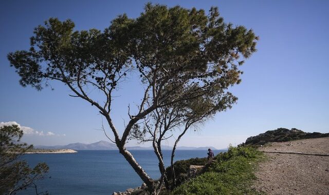 Καιρός: Ανεβαίνει η θερμοκρασία, παγετός στα ηπειρωτικά