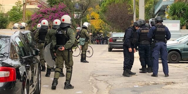 Γλάροι που καταπίνουμε αμάσητα τα ψάρια;
