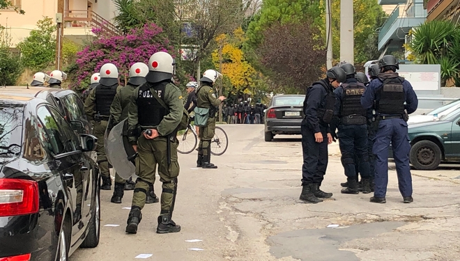 Γλάροι που καταπίνουμε αμάσητα τα ψάρια;