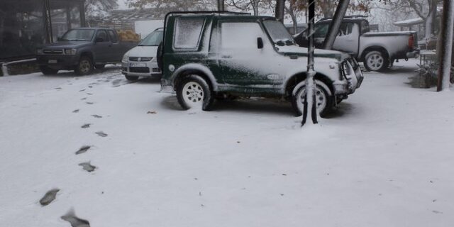 Παγετός: Ποια είναι τα επίπεδα παγοποίησης και πώς καθορίζονται