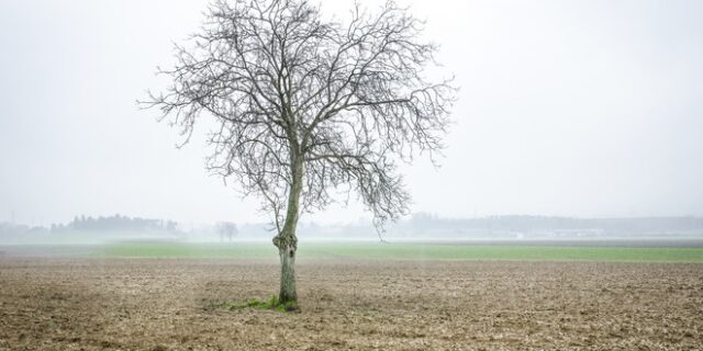 Κλιματική αλλαγή: Νοέμβρης του ’19, ο δεύτερος θερμότερος μήνας εδώ και 140 έτη