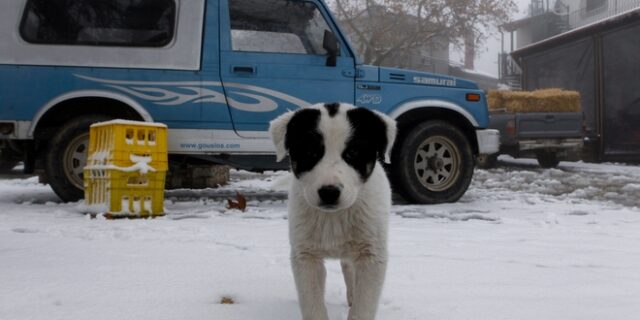 “Στα λευκά” ορεινά χωριά της Πίνδου: Τα πρώτα χιόνια σε Κόνιτσα, Μέτσοβο και Ζαγόρι