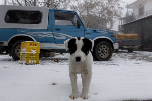 “Στα λευκά” ορεινά χωριά της Πίνδου: Τα πρώτα χιόνια σε Κόνιτσα, Μέτσοβο και Ζαγόρι