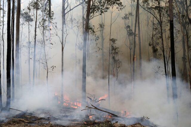 Αυστραλία: Υπό έλεγχο τέθηκε επιτέλους η μεγαλύτερη φωτιά – Έρχονται βροχές