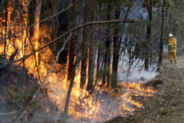 Αυστραλία: Είδη υπό εξαφάνιση και βιότοποι χάθηκαν στις φλόγες