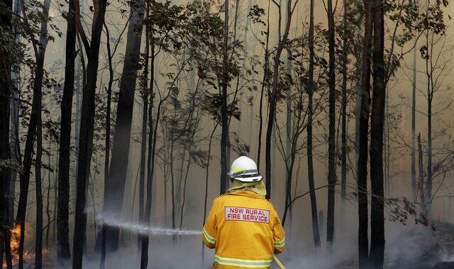 Φωτιές στην Αυστραλία: “Ολοκαύτωμα” για την πανίδα – Παγκόσμια ανησυχία