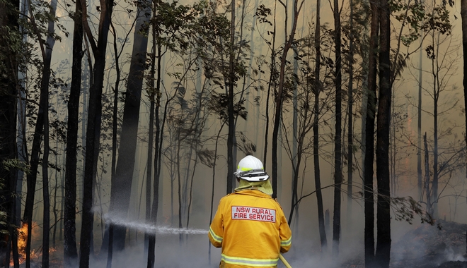Φωτιές στην Αυστραλία: “Ολοκαύτωμα” για την πανίδα – Παγκόσμια ανησυχία