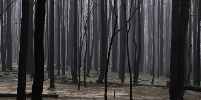 Αυστραλία: Στάχτη έχει γίνει έκταση σχεδόν ίση με την Αυστρία