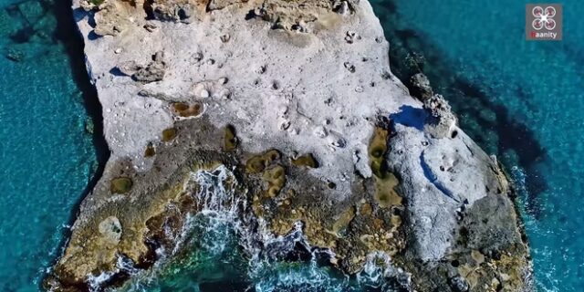 Το μοναδικό απολιθωμένο φοινικόδασος της Ευρώπης στην άκρη της Ελλάδας