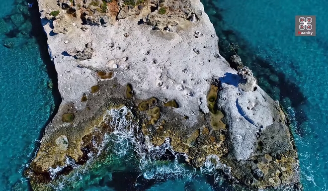 Το μοναδικό απολιθωμένο φοινικόδασος της Ευρώπης στην άκρη της Ελλάδας