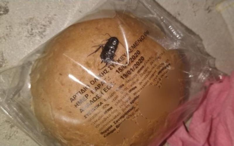 Λιόσια: Μαθητής δημοτικού βρήκε συσκευασμένη κατσαρίδα σε ψωμάκι