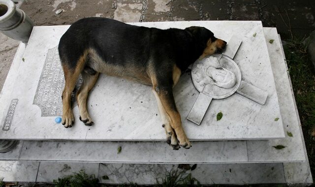 Μεξικό: Ο πόλεμος των συμμοριών έφερε ρεκόρ στις δολοφονίες