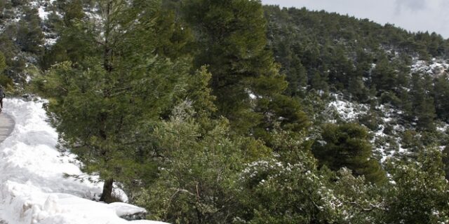 Αποκλεισμένο το καταφύγιο μπάφι – Τα 4 μέτρα έφτασε το χιόνι