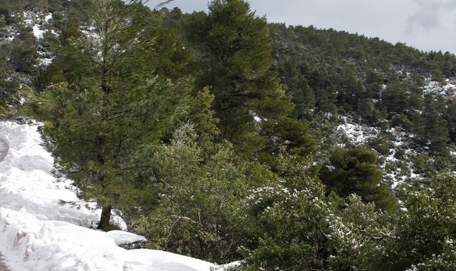 Αποκλεισμένο το καταφύγιο μπάφι – Τα 4 μέτρα έφτασε το χιόνι