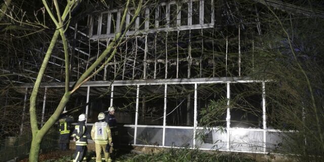 Γερμανία: Η πυρκαγιά στον ζωολογικό οφειλόταν σε κινέζικα φαναράκια