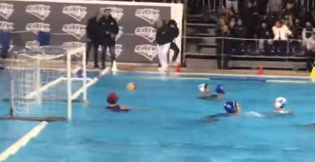 Οπαδός έσπρωξε διαιτητή στην πισίνα σε αγώνα πόλο γυναικών