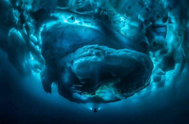 Oι καλύτερες υποβρύχιες φωτογραφίες της χρονιάς – Πώς είναι ένα παγόβουνο από κάτω