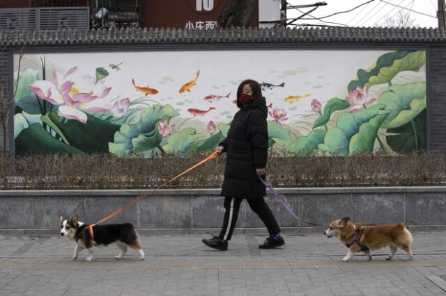 Κορονοϊός-Κίνα: “Μη δίνετε φιλιά στα κατοικίδιά”
