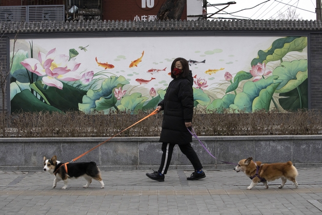 Απίστευτο! Σκύλος στο Χονγκ Κονγκ βρέθηκε θετικός στον κορονοϊό