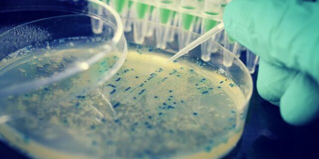 Έρευνα: Το κοινό βακτήριο E.coli μπορεί να εμπλέκεται στον καρκίνο του εντέρου