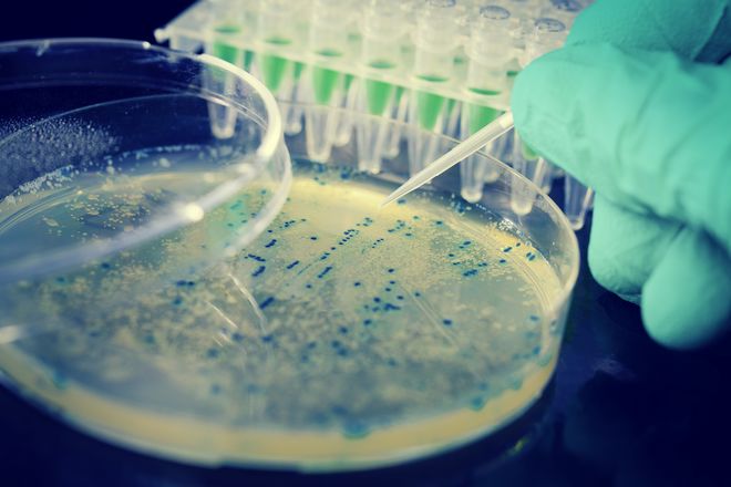 Έρευνα: Το κοινό βακτήριο E.coli μπορεί να εμπλέκεται στον καρκίνο του εντέρου