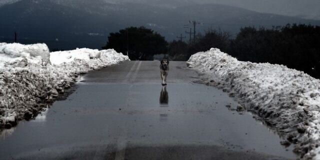 Καιρός: Έρχεται “ψυχρό μέτωπο” με μεγάλη πτώση θερμοκρασίας