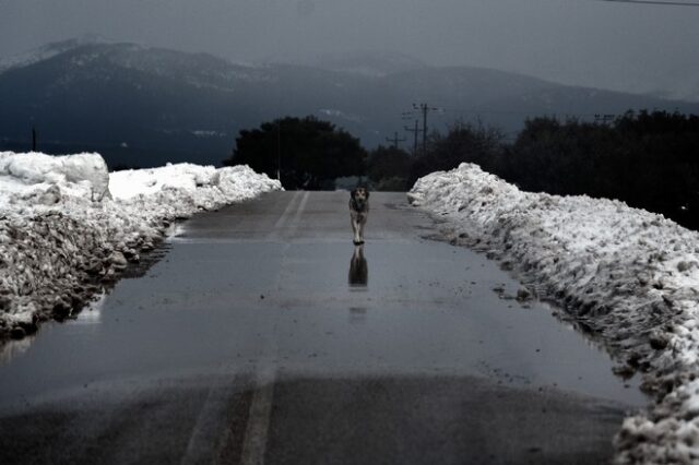 Καιρός: Έρχεται “ψυχρό μέτωπο” με μεγάλη πτώση θερμοκρασίας