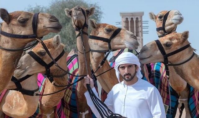 Ντουμπάι: Ο σεΐχης που φωνάζει τις καμήλες με τα ονόματά τους