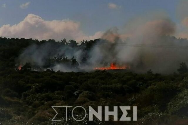 Λέσβος: Καταγγελίες για φωτιά από χειροβομβίδες των ΜΑΤ