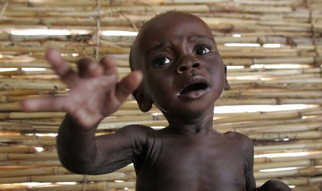 Νίγηρας: Τρία εκατομμύρια άνθρωποι πλήττονται από ανθρωπιστικές κρίσεις