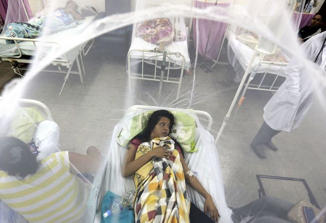 Επίσημο: Σε κατάσταση έκτακτης ανάγκης η Παραγουάη για το δάγκειο πυρετό