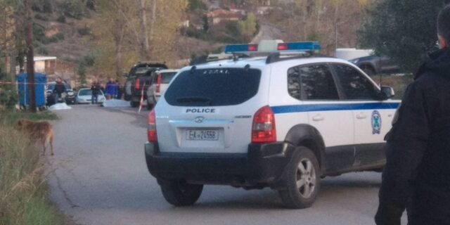 Αρχαία Ολυμπία: Ληστές μπήκαν σε σπίτι και έφυγαν τρέχοντας
