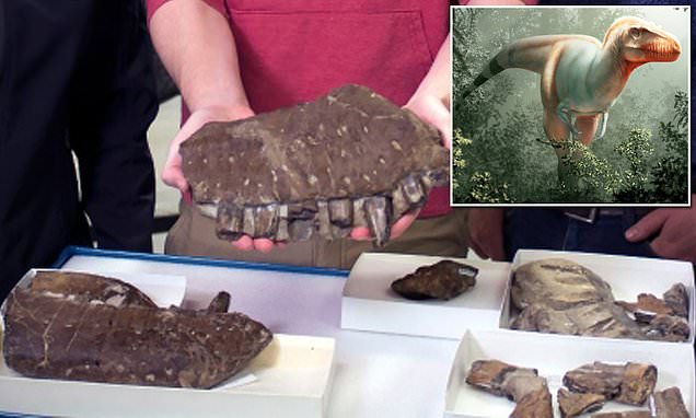 Θανατοθεριστής: Ανακαλύφθηκε νέος, φονικός τυραννόσαυρος