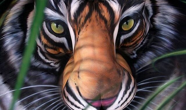 Johannes Stötter: Η τίγρης από γυμνά κορμιά και άλλες “ακραίες” δημιουργίες