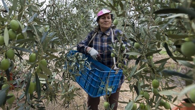 Κάρτα Αγρότη από Δευτέρα 30 Μαρτίου