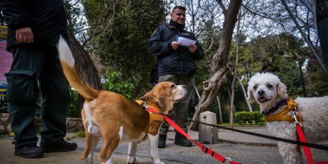 ΕΛ.ΑΣ.: Θετική η ανταπόκριση των πολιτών με ελάχιστες εξαιρέσεις