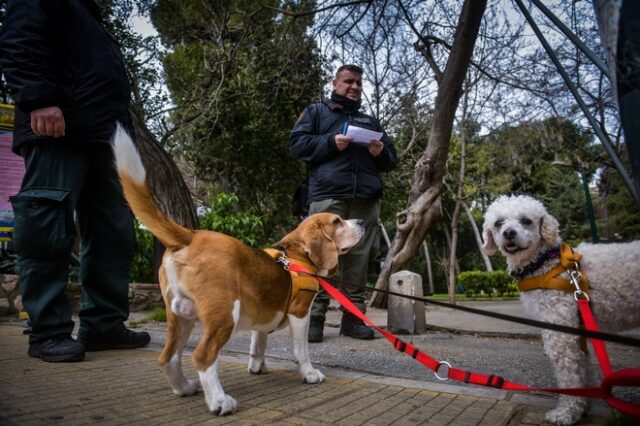 ΕΛ.ΑΣ.: Θετική η ανταπόκριση των πολιτών με ελάχιστες εξαιρέσεις