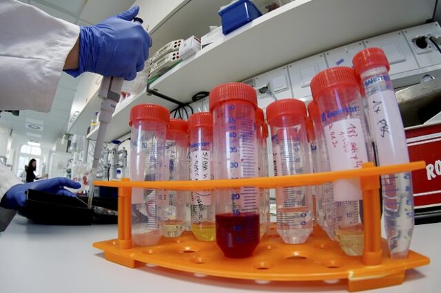 Κορονοϊός: Επιτυχής δοκιμή υποψήφιου εμβολίου σε πειραματόζωα