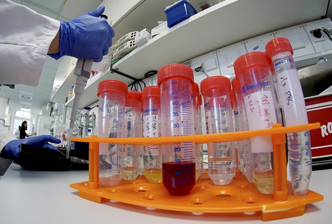 Κορονοϊός: Επιτυχής δοκιμή υποψήφιου εμβολίου σε πειραματόζωα