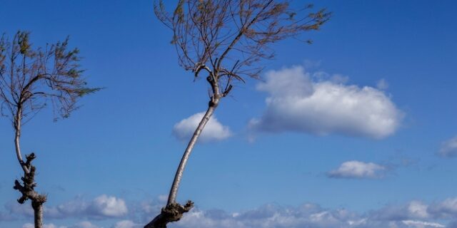 Καιρός: Υψηλές θερμοκρασίες μέχρι Σάββατο – Αλλάζει το σκηνικό από την Κυριακή