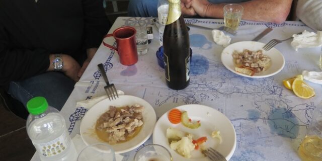 Πρέβεζα: Συνέλαβαν ιδιοκτήτρια ουζερί που δούλευε παρά την απαγόρευση