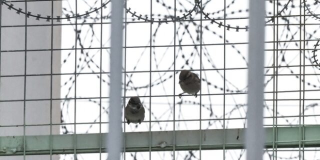 Έκκληση για τον απεργό πείνας Βασίλη Δημάκη: “Η ζωή του κρέμεται από μια κλωστή!”