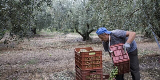 ΔΕΗ: Νέο πρόγραμμα διακανονισμών για τους αγρότες